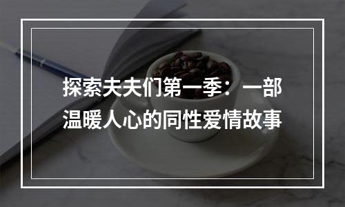 探索夫夫们第一季：一部温暖人心的同性爱情故事