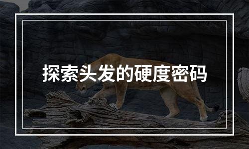 探索头发的硬度密码