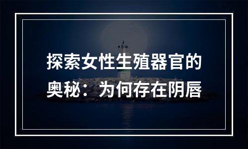 探索女性生殖器官的奥秘：为何存在阴唇