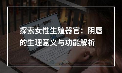 探索女性生殖器官：阴唇的生理意义与功能解析