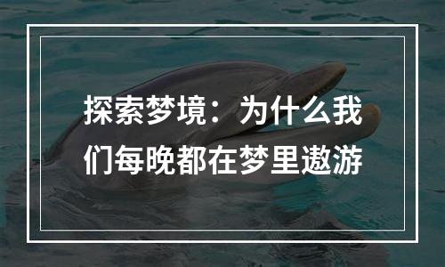 探索梦境：为什么我们每晚都在梦里遨游