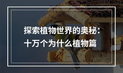 探索植物世界的奥秘：十万个为什么植物篇