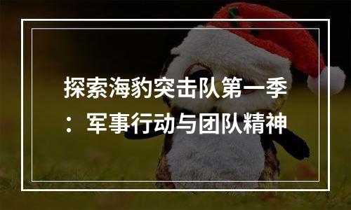 探索海豹突击队第一季：军事行动与团队精神