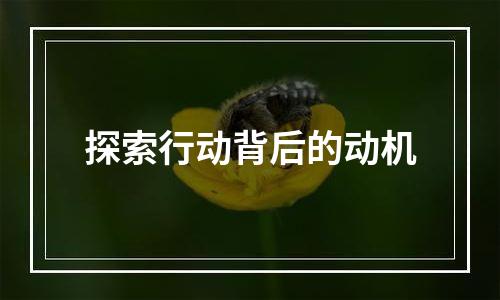 探索行动背后的动机