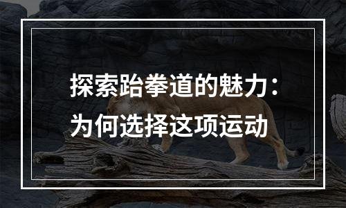 探索跆拳道的魅力：为何选择这项运动