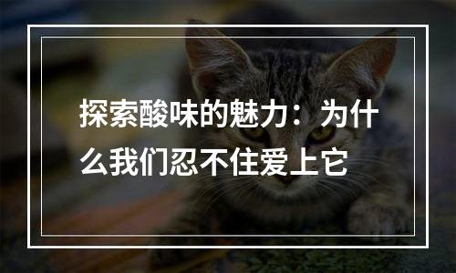 探索酸味的魅力：为什么我们忍不住爱上它