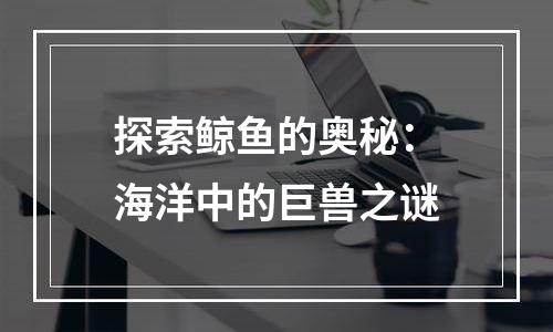 探索鲸鱼的奥秘：海洋中的巨兽之谜