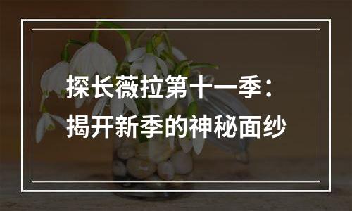探长薇拉第十一季：揭开新季的神秘面纱