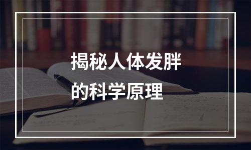 揭秘人体发胖的科学原理