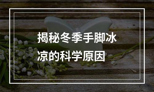 揭秘冬季手脚冰凉的科学原因