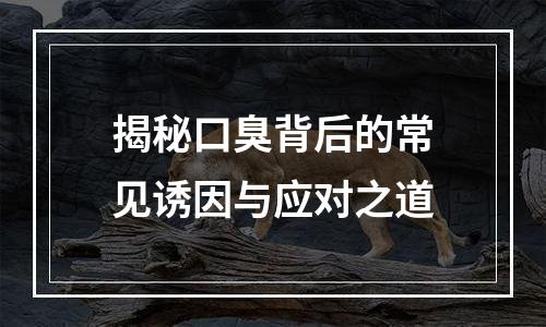 揭秘口臭背后的常见诱因与应对之道