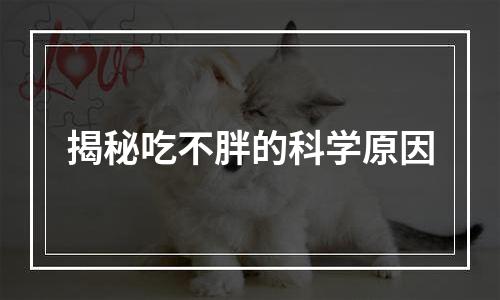 揭秘吃不胖的科学原因
