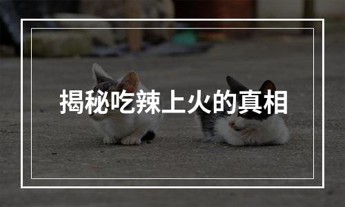 揭秘吃辣上火的真相