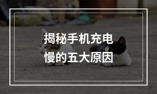 揭秘手机充电慢的五大原因