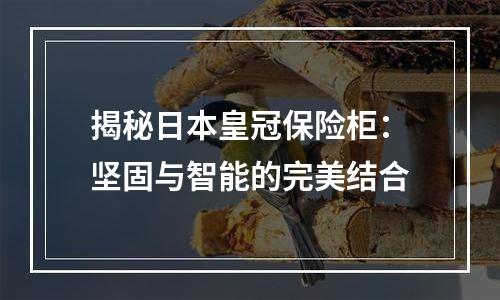 揭秘日本皇冠保险柜：坚固与智能的完美结合