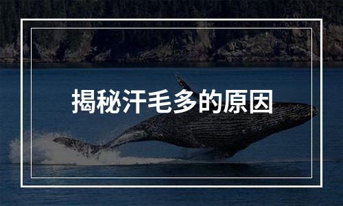 揭秘汗毛多的原因