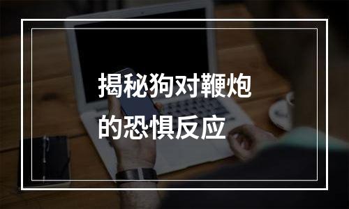 揭秘狗对鞭炮的恐惧反应