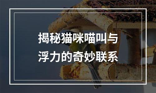 揭秘猫咪喵叫与浮力的奇妙联系