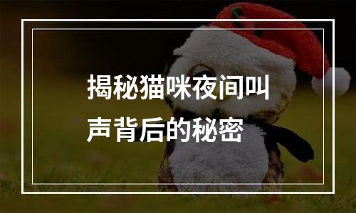 揭秘猫咪夜间叫声背后的秘密