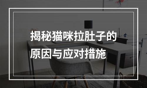 揭秘猫咪拉肚子的原因与应对措施