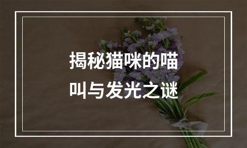 揭秘猫咪的喵叫与发光之谜