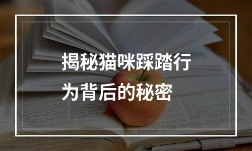 揭秘猫咪踩踏行为背后的秘密