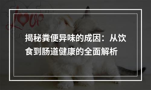 揭秘粪便异味的成因：从饮食到肠道健康的全面解析