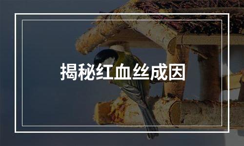 揭秘红血丝成因