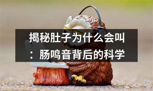 揭秘肚子为什么会叫：肠鸣音背后的科学