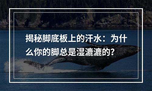 揭秘脚底板上的汗水：为什么你的脚总是湿漉漉的？