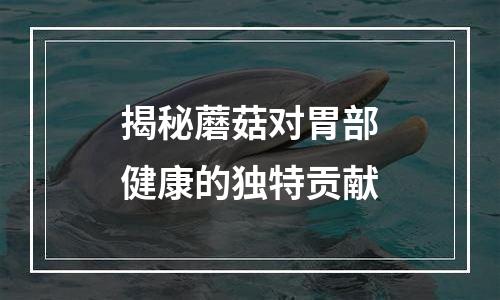 揭秘蘑菇对胃部健康的独特贡献