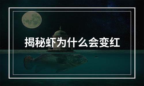 揭秘虾为什么会变红