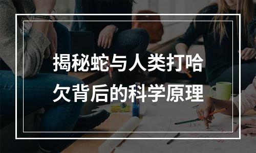 揭秘蛇与人类打哈欠背后的科学原理
