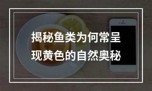 揭秘鱼类为何常呈现黄色的自然奥秘