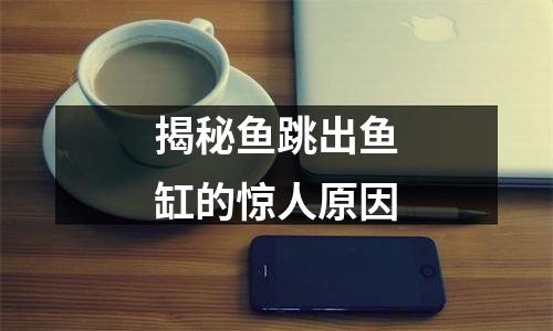 揭秘鱼跳出鱼缸的惊人原因