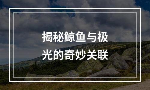 揭秘鲸鱼与极光的奇妙关联