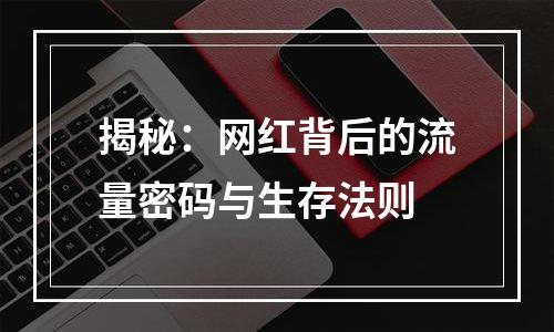 揭秘：网红背后的流量密码与生存法则