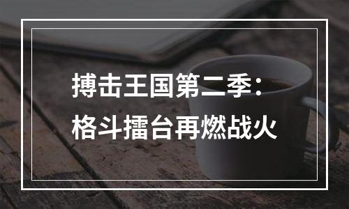 搏击王国第二季：格斗擂台再燃战火