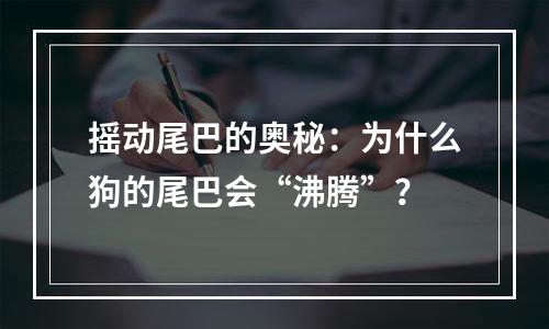 摇动尾巴的奥秘：为什么狗的尾巴会“沸腾”？