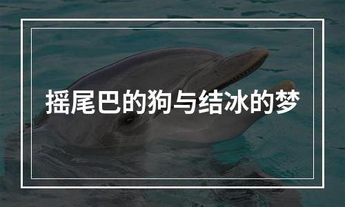 摇尾巴的狗与结冰的梦
