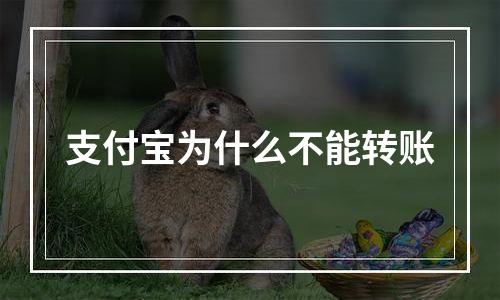 支付宝为什么不能转账