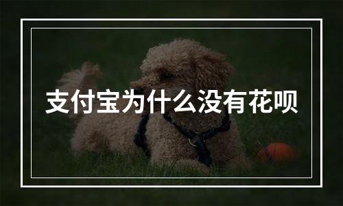 支付宝为什么没有花呗