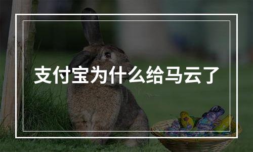 支付宝为什么给马云了