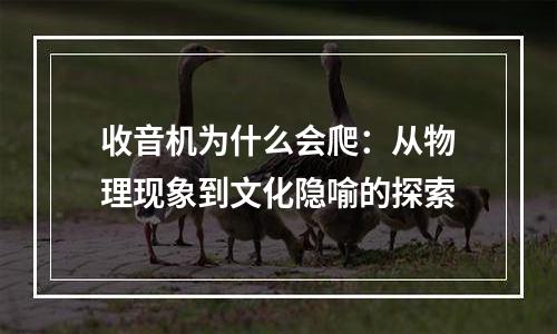 收音机为什么会爬：从物理现象到文化隐喻的探索