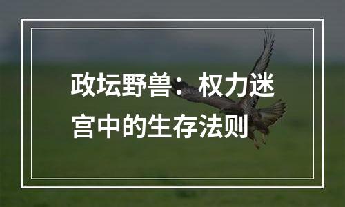 政坛野兽：权力迷宫中的生存法则