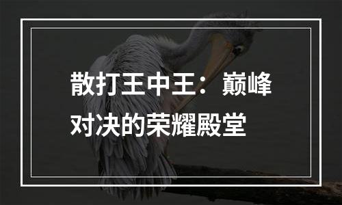 散打王中王：巅峰对决的荣耀殿堂