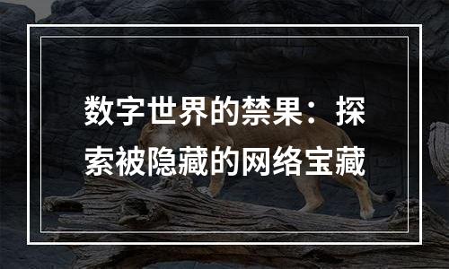 数字世界的禁果：探索被隐藏的网络宝藏