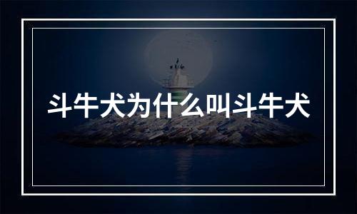 斗牛犬为什么叫斗牛犬