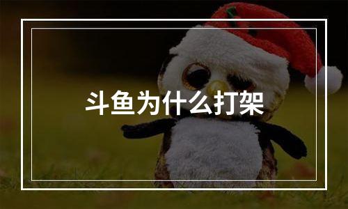 斗鱼为什么打架