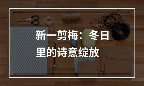 新一剪梅：冬日里的诗意绽放